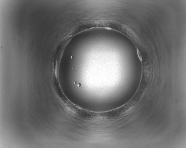 X0000071830593200607072212