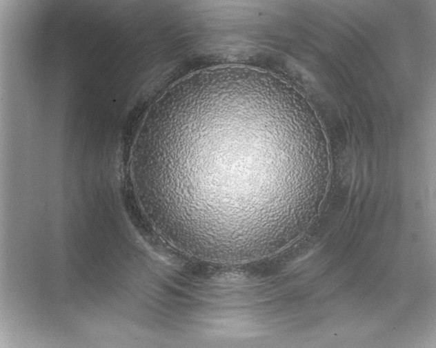 X0000071830594200607072212