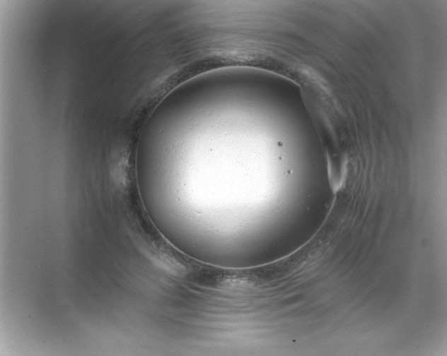 X0000071830596200607072212