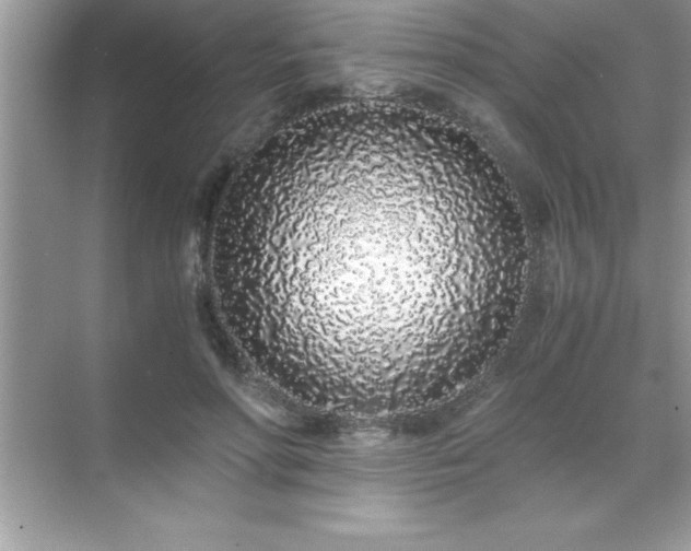 X0000071830598200607072212