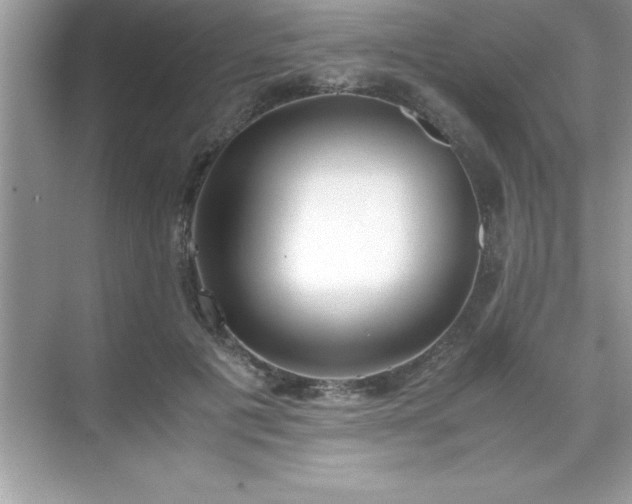 X0000071830601200607072212