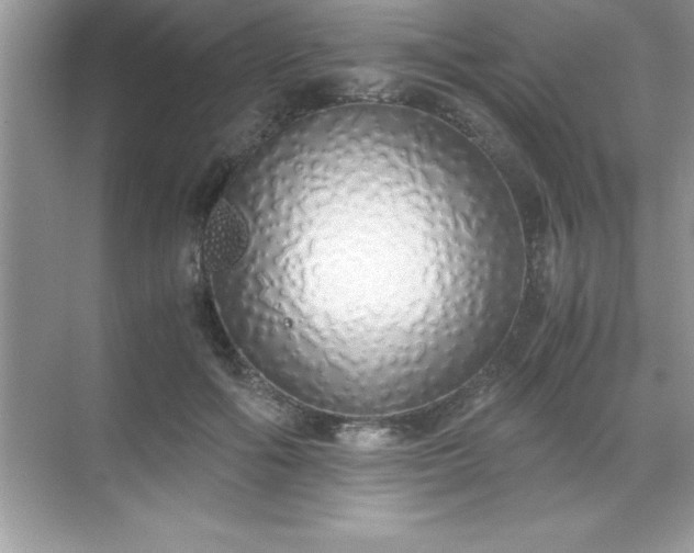 X0000071830602200607072212