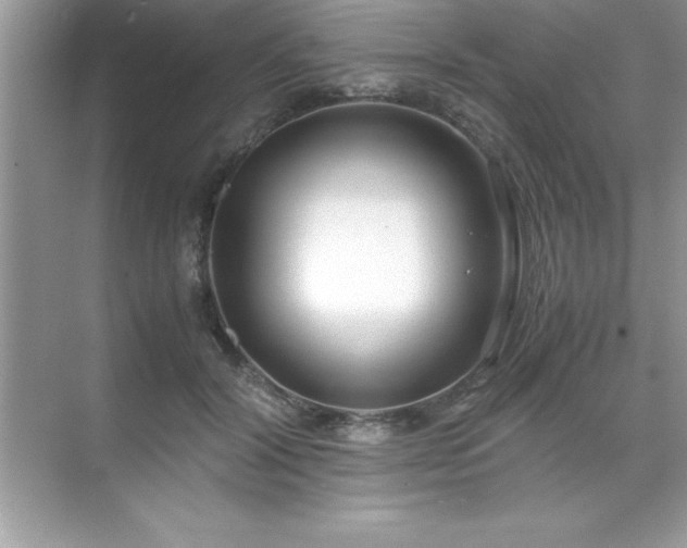 X0000071830604200607072211