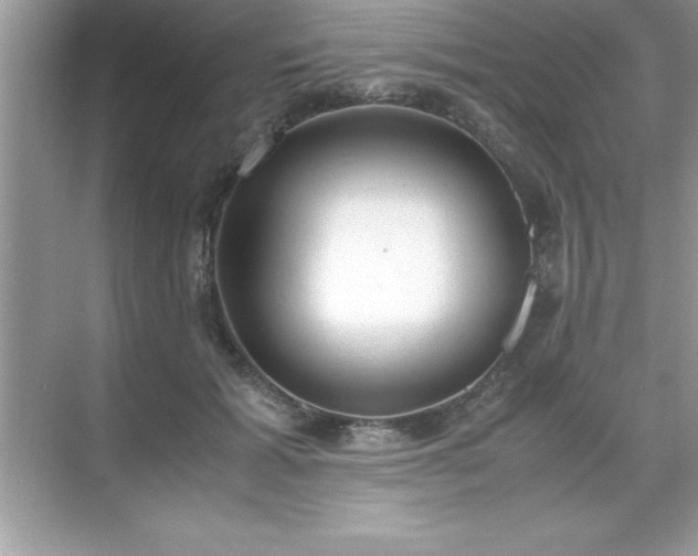 X0000071830605200607072211