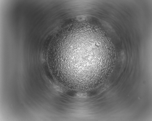 X0000071830606200607072211