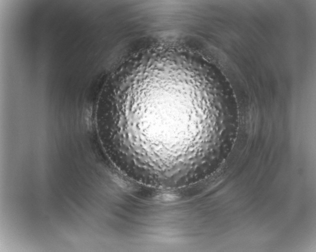 X0000071830610200607072211