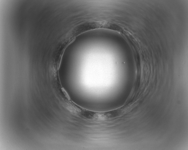 X0000071830613200607072211