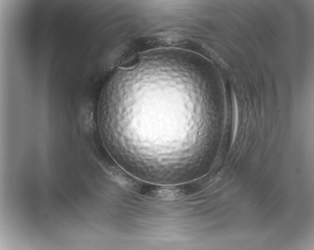 X0000071830615200607072211