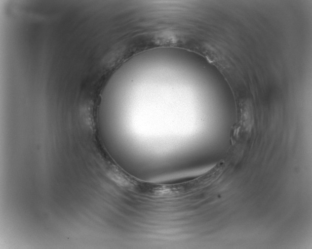 X0000071830616200607072211