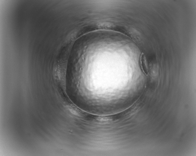 X0000071830619200607072211