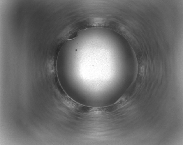 X0000071830620200607072211