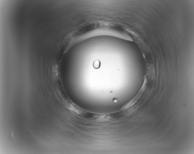 X0000071830621200607072211