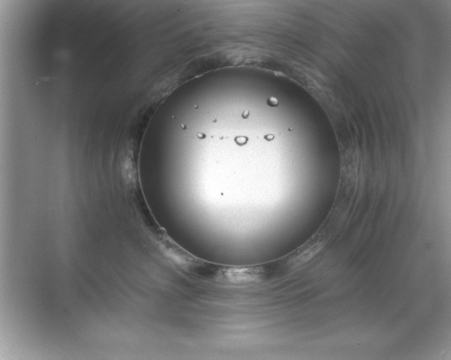 X0000071830622200607072211