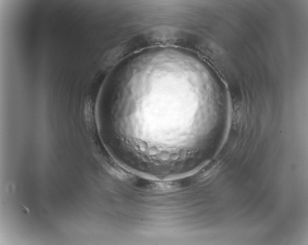 X0000071830623200607072211