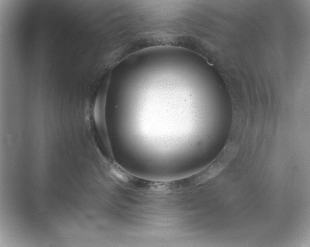 X0000071830624200607072211