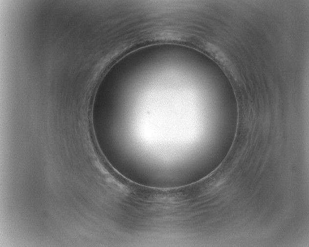 X0000071830625200607072210