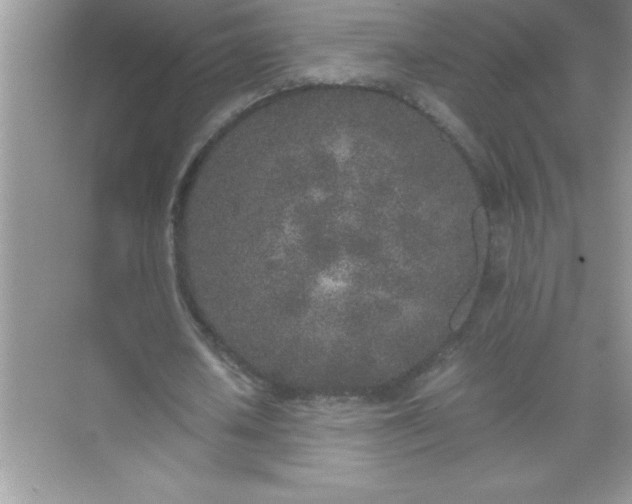 X0000071830626200607072210