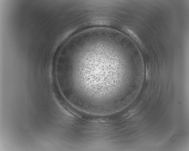 X0000071830627200607072210