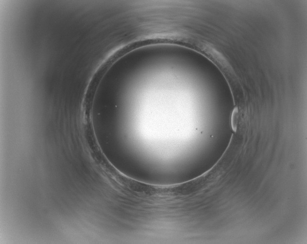 X0000071830628200607072210