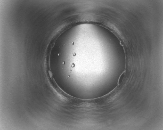 X0000071830629200607072210