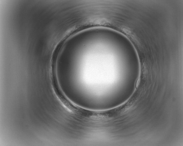 X0000071830630200607072210