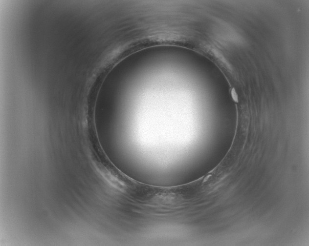 X0000071830631200607072210