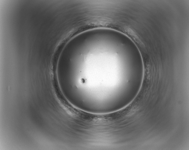 X0000071830634200607072210