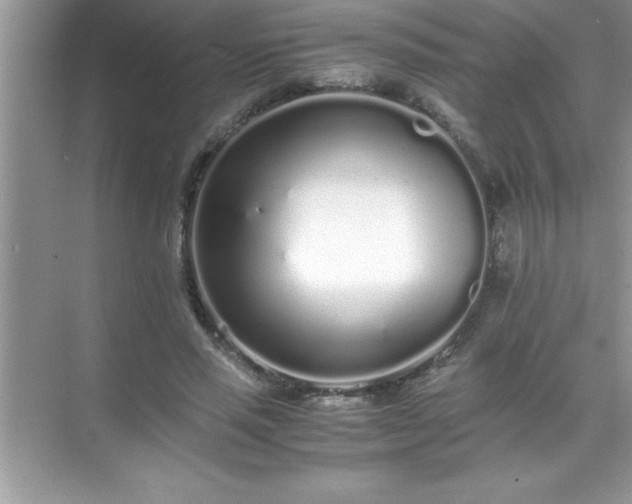 X0000071830637200607072211