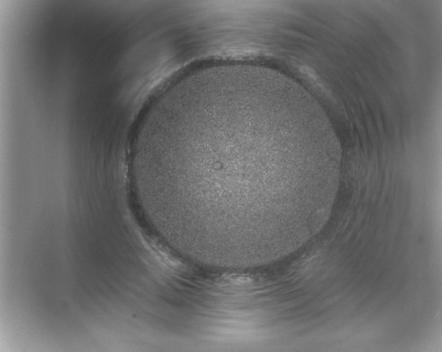 X0000071830640200607072211