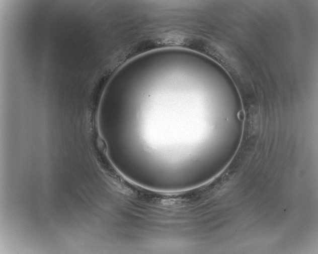 X0000071830641200607072211