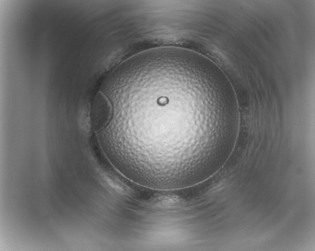 X0000071830642200607072211