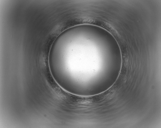 X0000071830643200607072211