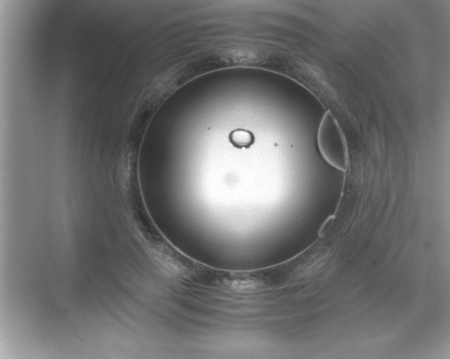 X0000071830645200607072211