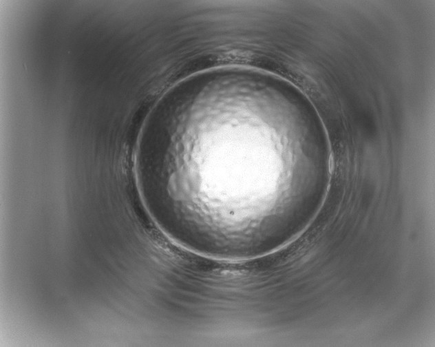 X0000071830649200607072211