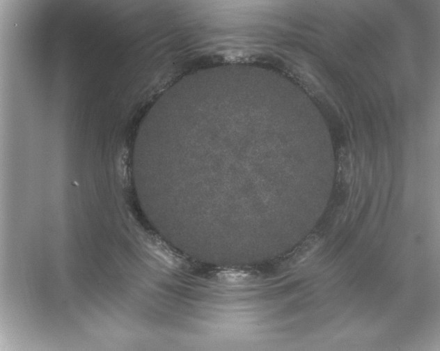 X0000071830650200607072211