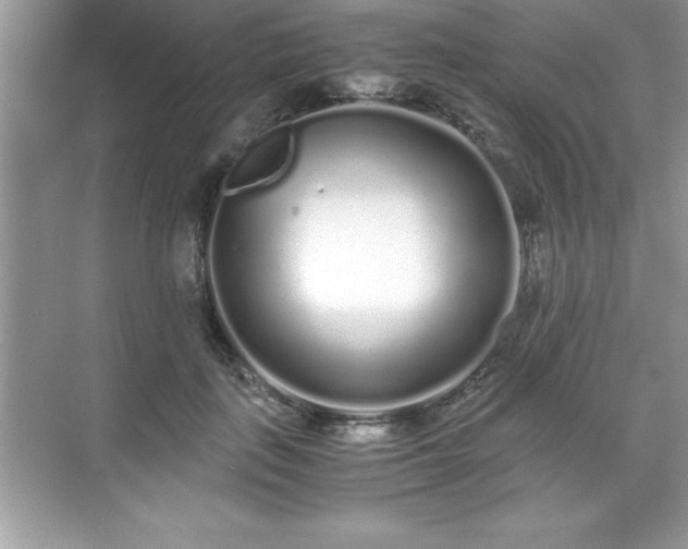 X0000071830651200607072211