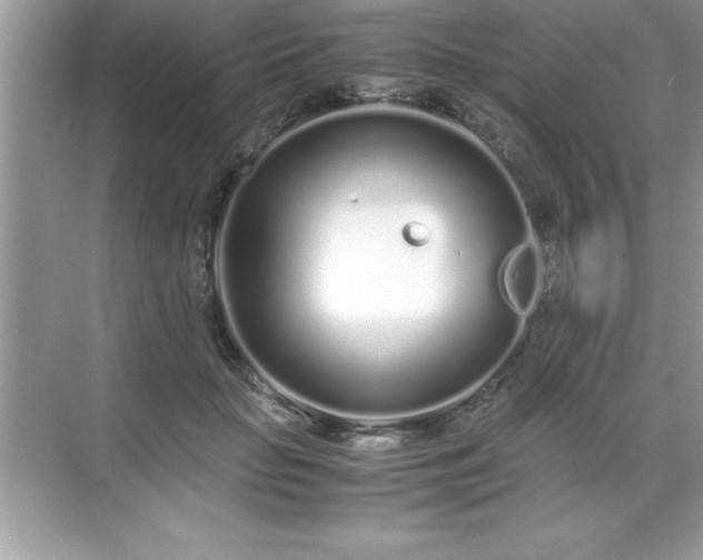 X0000071830653200607072211