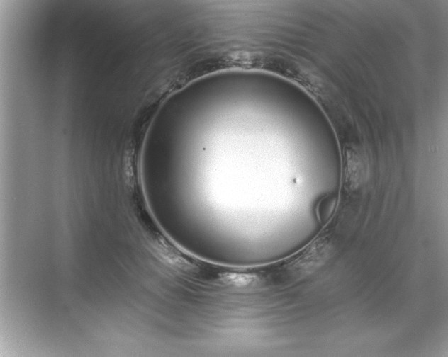 X0000071830654200607072211