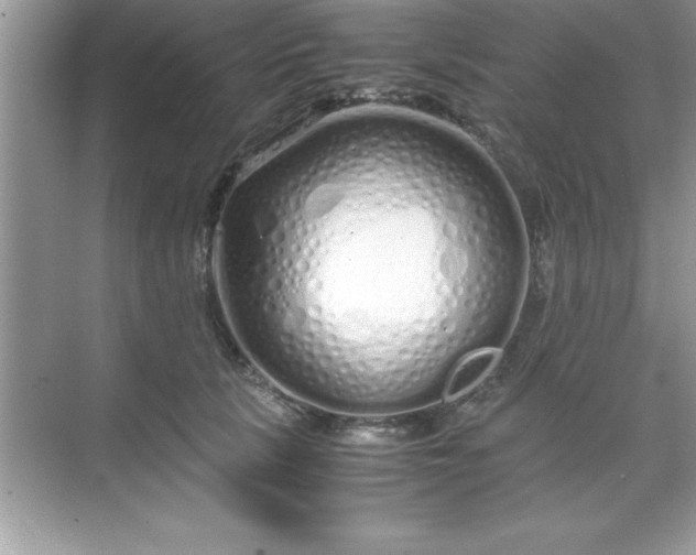 X0000071830657200607072211