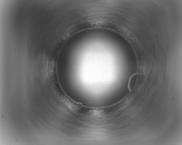 X0000071830660200607072211