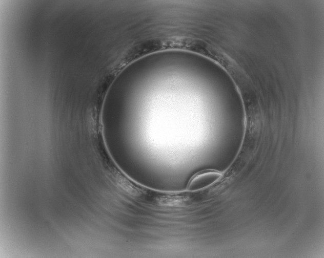 X0000071830661200607072211