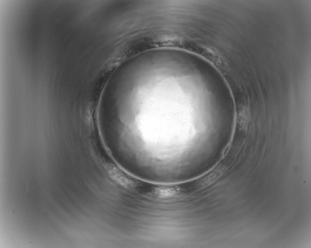 X0000071830662200607072211