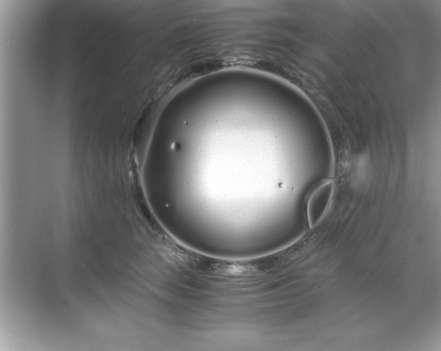 X0000071830663200607072211