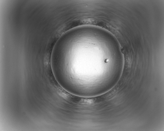 X0000071830665200607072211