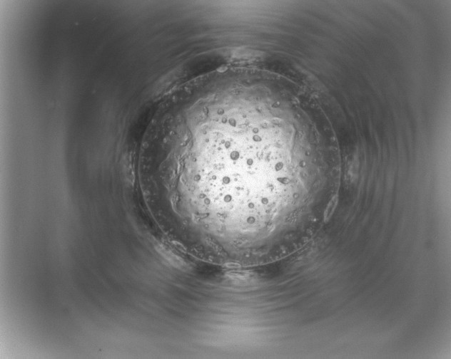 X0000071830666200607072211