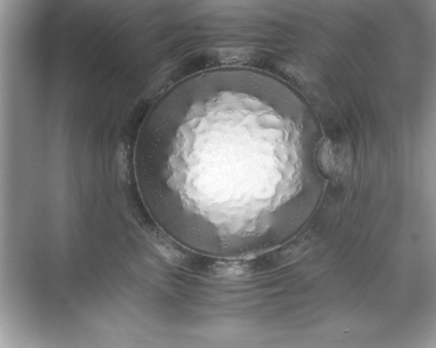 X0000071830667200607072211