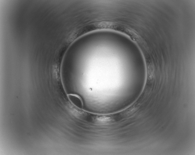 X0000071830669200607072211