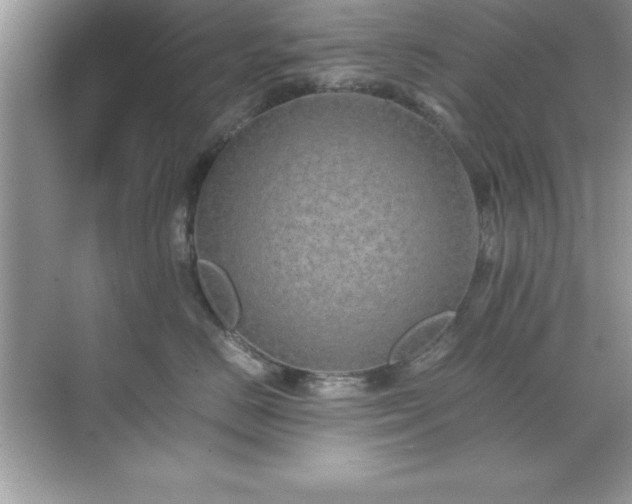 X0000071830670200607072211