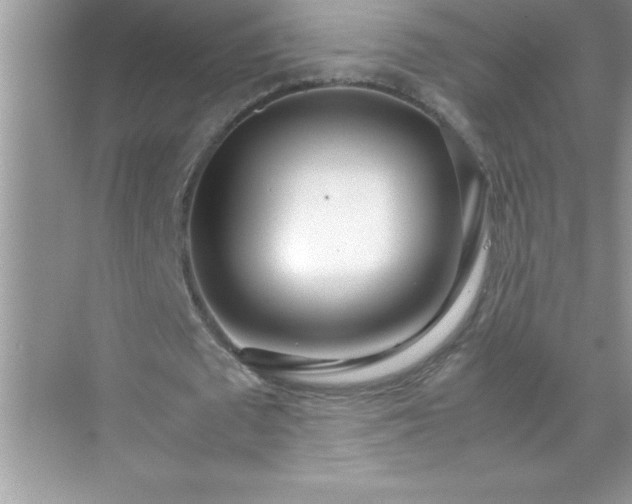 X0000071830673200607072210