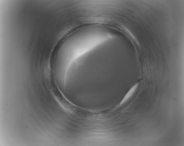 X0000071830674200607072210